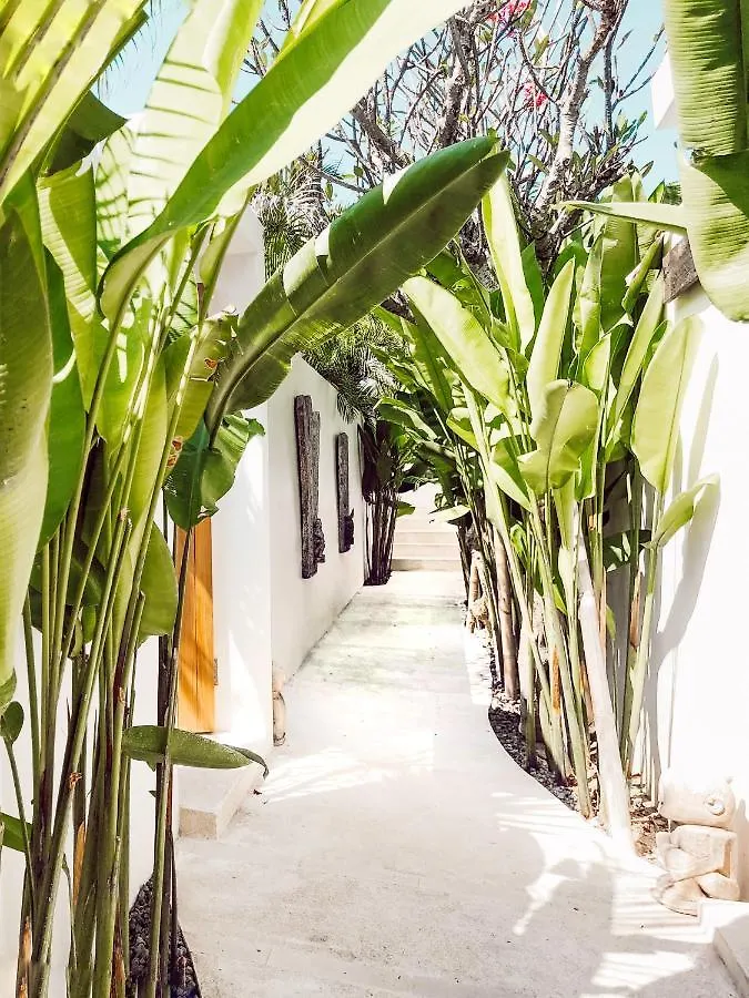 Beyond Bespoke Villas Seminyak